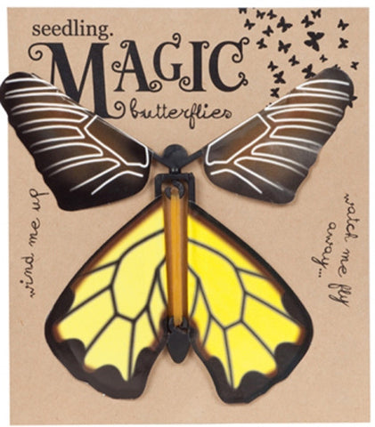 Magic Butterflies