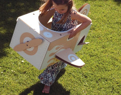 Flat Out Cardboard Aeorplane