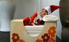 Elf on a Shelf (Australia)