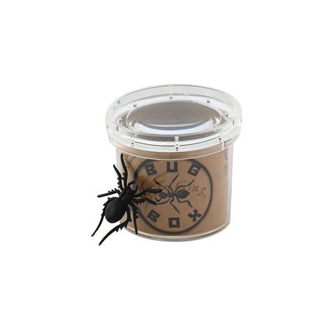 Magnifying Bug Box