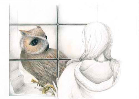 Owls Secret Small Mounted Print