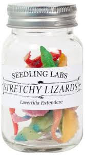 Super Stretchy Lizards